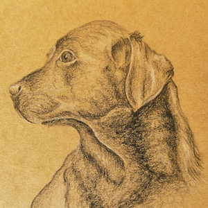 Retrato de mascota personalizado, arte animal original, regalo de Navidad, arte personalizado, amante del perro, gato, caballo, propietario del animal del regalo del regalo del perro, amante del animal