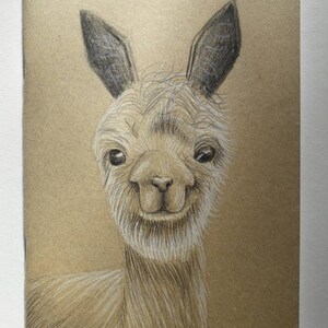 illustrazione lama Kraft sketchbook, disegnato a mano, opere d'arte originali, riempitivo di calza personalizzato, regalo di Natale, regalo di alpaca, amante degli animali