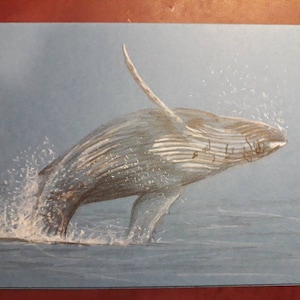 Carta balena pescata a mano, regalo di compleanno, balena che si invii, animale selvatico, creatura dell'oceano, carta regalo vita mare, carta regalo amico unico, balena blu