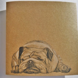Mano dibujados, tarjeta Kraft reciclado, British Bulldog, regalo para el amante de los perros, obras de arte originales, cumpleaños tarjeta Nature, bulldog inglés, ilustraciones, Nota