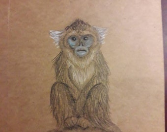 Cute blue faced snub nosed monkey, golden monkey, adorable hand made animal gift card, birthday for nature lover, original artwork, drawing