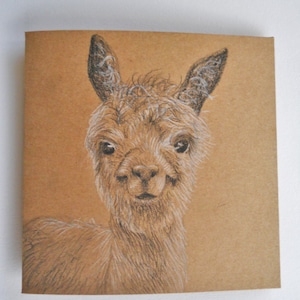 Tarjeta linda de la llama, alpaca de arte original, tarjeta kraft reciclado, mano dibujada en blanco Nota tarjeta Gracias cumpleaños personalizado naturaleza animal amigo