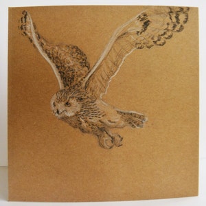Lllustration mignonne de hibou de Noel, cartes de note blanches, carte stylisée, anniversaire, merci, ensemble de carte d'animal de forêt dessiné à la main, hibou de cadeau, nature