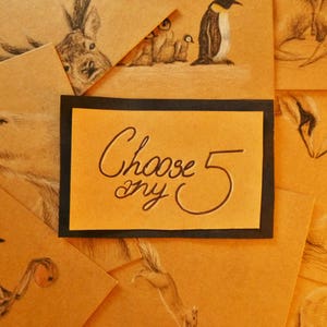 Conjunto de 5, ilustração animal original, arte, cartão de nota fofo, aniversário, arte personalizada desenhada à mão, natureza, cartão de natal, conjunto de cartão em branco