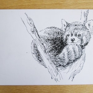 Pen tekening Rode Panda Gift Card, Hand getrokken originele Artwork verjaardagskaart voor dierenliefhebbers, schattige dieren wenskaart, opmerking Card, natuur