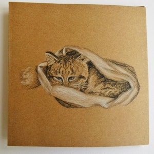 Sbirciando gatto nel cappello della Santa, disegno originale, illustrazione, gli amanti del gatto regalo, cartoline di Natale dolce, carina Holiday Cards, carine disegni originali