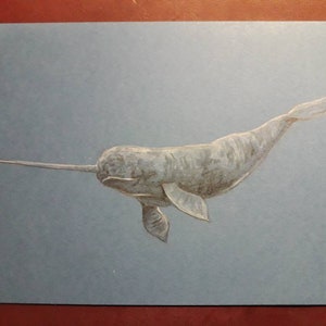 Hand drawn narwhal card, birthday, wild animal, ocean creature, sea life gift card, unique friend note card, sea unicorn, unusual animal