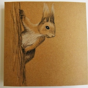 Rode eekhoorn, Artwork, originele tekening, illustratie, kerstkaart, opmerking card, wenskaart, Xmas, dank u wel, eigenzinnige, natuurliefhebber