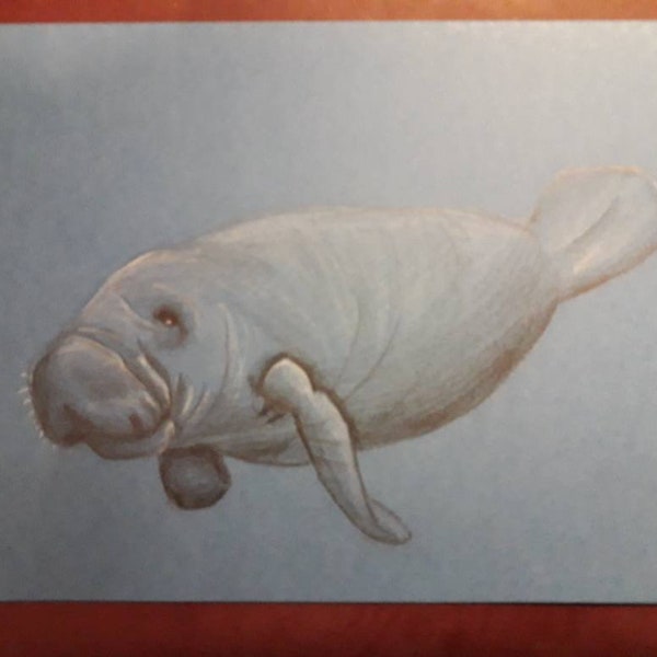 Hand drawn manatee card, birthday gift, cute dugong, wild animal, ocean creature, sea life gift card, unique friend note card, funny animals