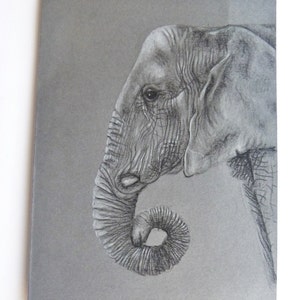 Oorspronkelijke tekening, olifant Geschenkenkaart Afrikaanse Wildlife, lege notitie kaart, dank u, wenskaart, verjaardag, Animal Lover, bedreigde dier