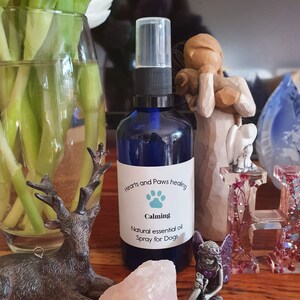 Natural calming essential oil spray for dog nervous separation anxiety promote relaxation fireworks vet trips holistic healing aromatherapy