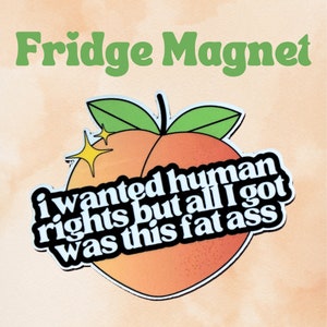 I wanted human rights, but all I got was this fat ass MAGNET ~ water resistant