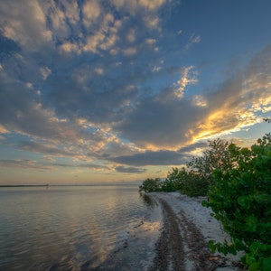 Florida Sunset