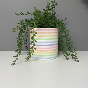 May include: A cylindrical ceramic planter with horizontal pastel stripes of pink, yellow, blue, and lavender. The planter contains a green trailing plant. The pot is on a white surface.