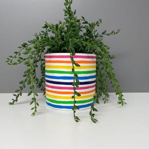 May include: A white cylindrical plant pot with horizontal stripes in rainbow colours, holding a cascading green plant. The pot's stripes are pink, orange, yellow, green, blue, and purple. The plant has small, round leaves and trailing stems.