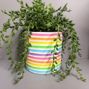May include: A colourful, cylindrical plant pot with horizontal rainbow stripes, containing a trailing green plant. The pot features bands of pink, purple, blue, green, yellow, and orange. The plant has small, oval-shaped leaves.