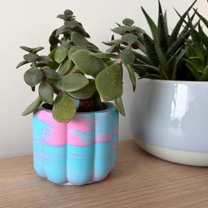 May include: A small succulent plant in a decorative, scalloped-edge pot. The pot is painted with a swirled pattern of pink and blue. Another succulent plant is in a light blue pot to the right. The plants sit on a wooden surface.