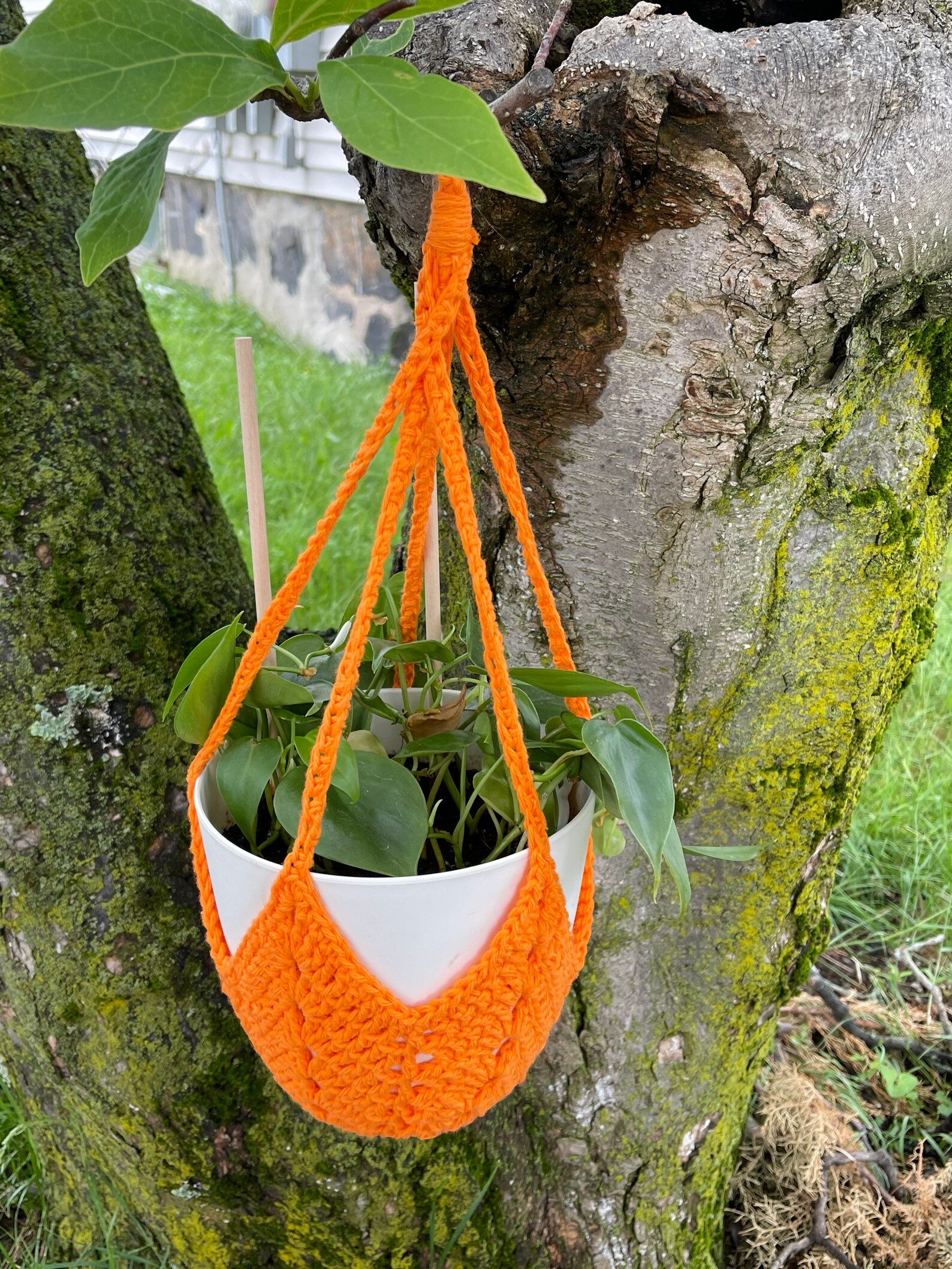 Crochet plant hanging basket hanging planter plant holder Etsy