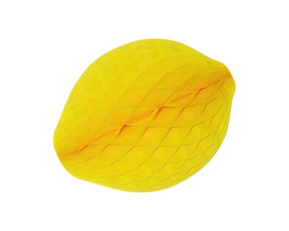 Honeycomb Lemon 14 Tissue Paper Lemon Party Decorations