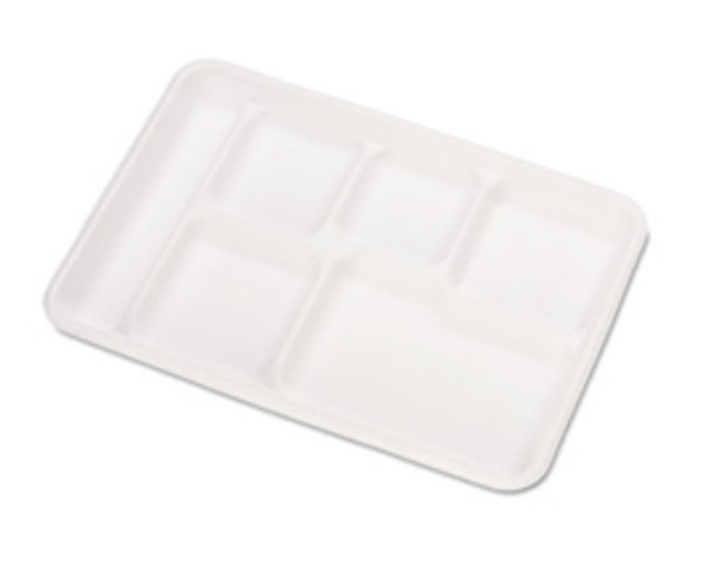 Divided Food Trays Set of 10 White fiber paper plates Etsy