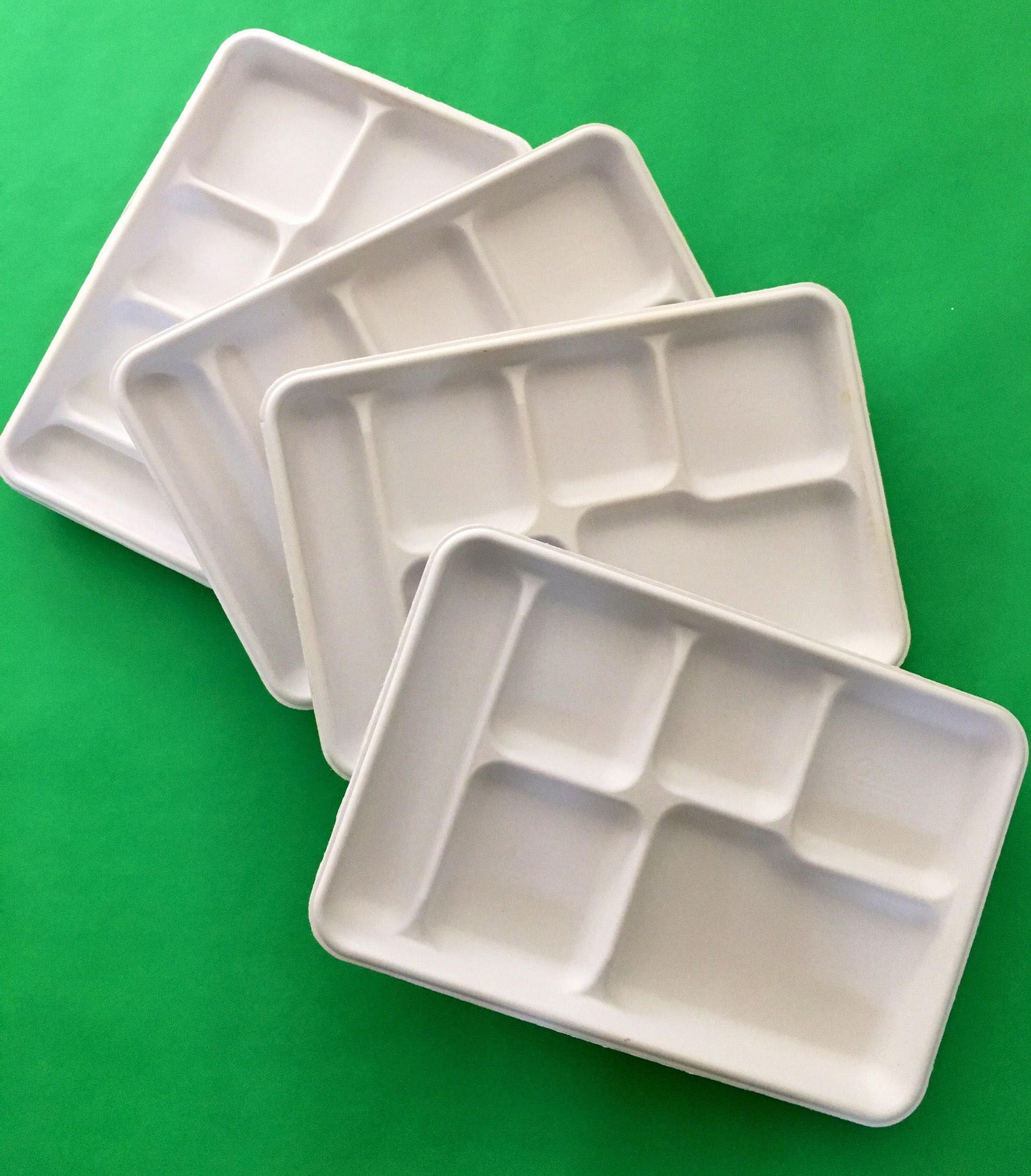 Divided Food Trays Set of 10 White fiber paper plates Etsy