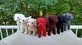 Plush Crochet Labrador Retriever Dog