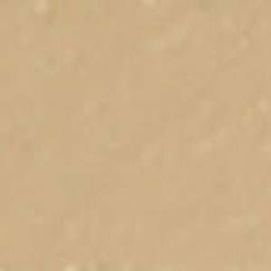 angelus beige taupe paint