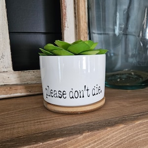May include: White ceramic planter with a wooden base, featuring a green succulent plant and the text "please don't die."