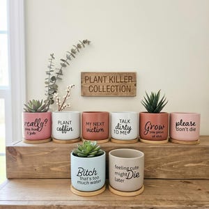 May include: A collection of ceramic plant pots in various colors, each with a unique black text design. The pots are displayed on a wooden surface, with a wooden sign that reads "PLANT KILLER COLLECTION".