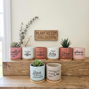 May include: A collection of small, colorful ceramic planters with humorous phrases in black text. The planters are in shades of pink, white, terracotta, and blue-green, each holding a succulent plant. A wooden sign above reads "PLANT KILLER COLLECTION."