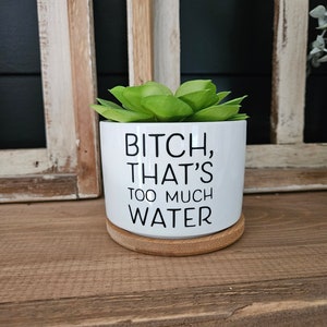 May include: A white ceramic plant pot with the text "BITCH, THAT'S TOO MUCH WATER" in black, holding a green succulent. The pot sits on a round, light brown bamboo coaster, placed on a wooden surface.
