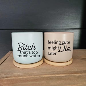 Funny Indoor Planter: Offensive Plant Pot with Bamboo Tray