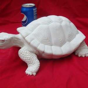 Bisque Turtle Ready to Paint 13"