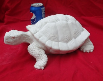 Bisque Turtle Ready to Paint 13"