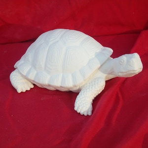 Biskuit Schildkröten bemalbar 23cm