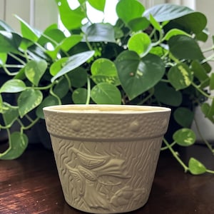 May include: A cream-colored ceramic plant pot featuring a textured surface with embossed butterfly and floral motifs. The upper rim is decorated with a band of small, raised circular dots, while the body displays a detailed, carved-style pattern.