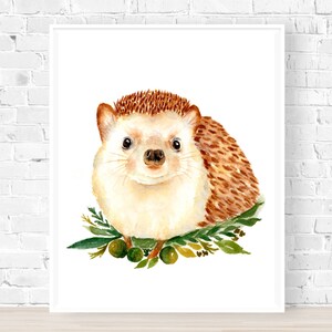 Hedgehog Print, Watercolor Hedgehog, Erinaceinae Print, Hedgehog Gifts, Hedgehog Illustration, Woodland Animal, Nursery Hedgehog image 1