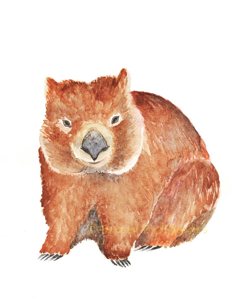 Nursery Animal Prints Australian Nursery Animals Nursery Etsy