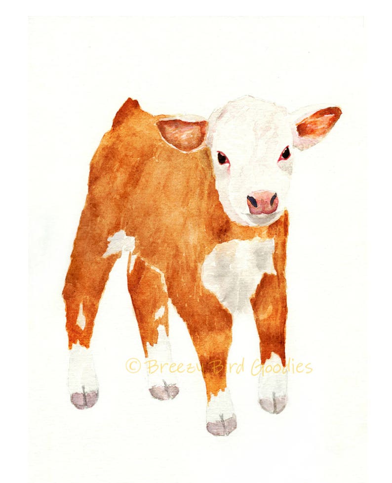 Watercolor Calf Print Watercolor Cow Baby Cow Print Etsy Australia