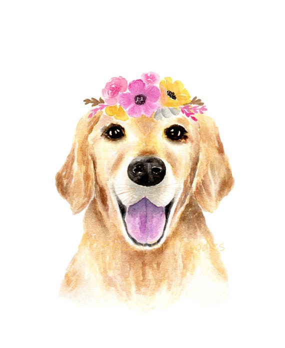 Pink golden best sale retriever