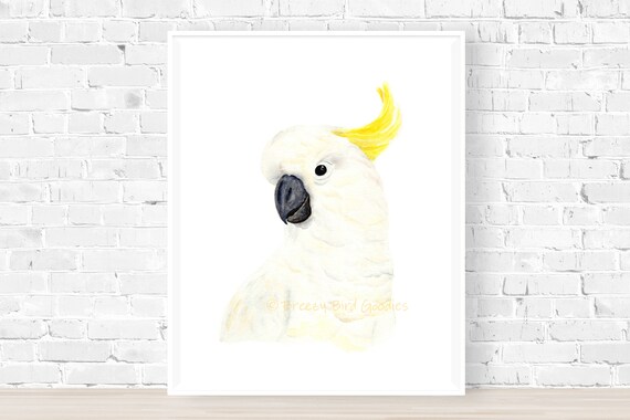 Cacatoès Blanc Imprimé Aquarelle De Cacatoès à Huppe Oiseau Blanc Print Art Pour La Maison Art Pour Bureau Australien Oiseau Print