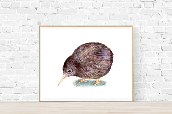 Kiwi Oiseau Aquarelle Kiwi Nouvelle Zélande Kiwi Oiseau Impression Ratites Plus Petit