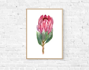 Protea Print, Protea Flower, Botanical Art, Protea Painting, Botanical Wall Art, Pink Wall Art, Flower Print, Mother's Day Gift