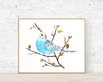 Impression perruche bleue, Budgie Art, Impression d’oiseau bleu, Illustration de perruche, Décalcomanie d’oiseau, Estampe d’automne, Estampe d’oiseau aquarelle, Impression de perroquet