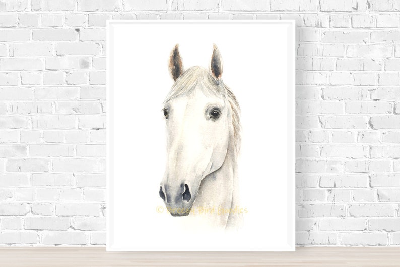Horse Print Horse Wall Art White Horse Art White Horse Etsy