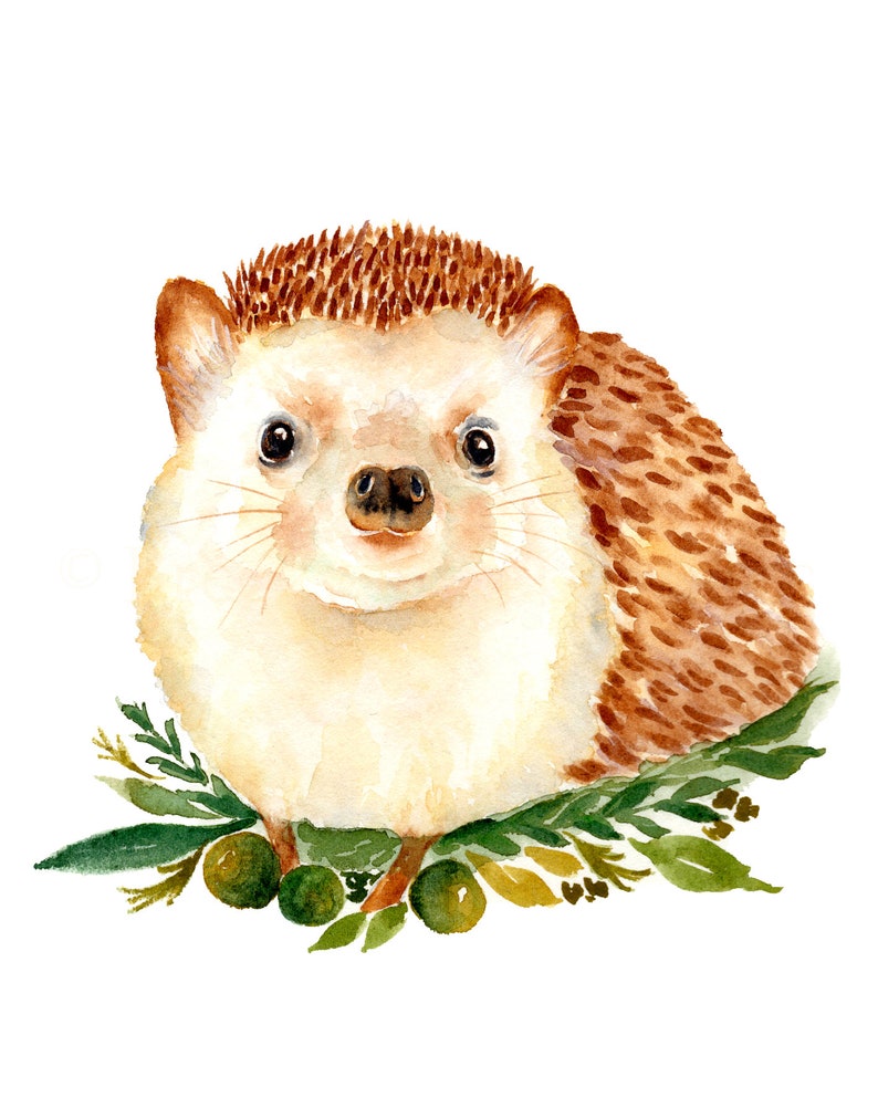 Hedgehog Print, Watercolor Hedgehog, Erinaceinae Print, Hedgehog Gifts, Hedgehog Illustration, Woodland Animal, Nursery Hedgehog image 2