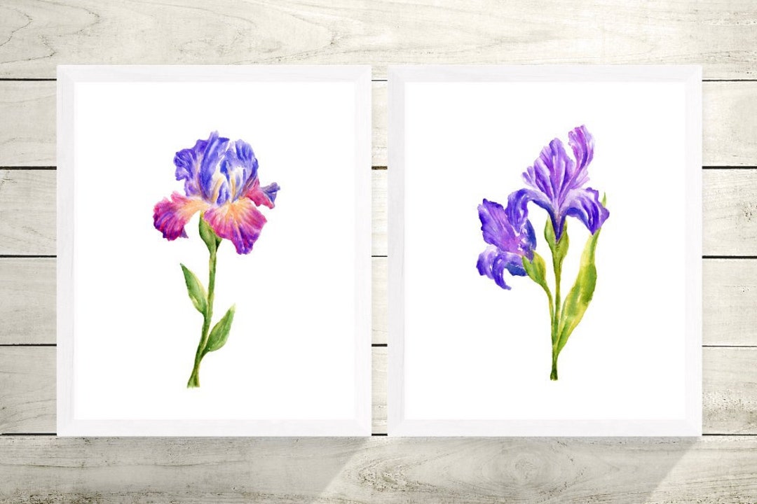 Set of 2 Iris Flowers Print, Iris Flower Gift, Iris Flower Art, Iris