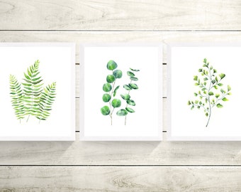 Botanical Set of 3 Prints, Fern Print, Fern Art, Eucalyptus Print, Eucalyptus Leaves, Leaf Print, Minimalist Art, Plant Print, Plants Gift