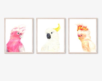 Australian Native, Parrot Print, Set of 3 Prints, Watercolor Print, Galah Print, Cockatoo Print, Cockatoo Gifts, Cockatoo Art, Australia