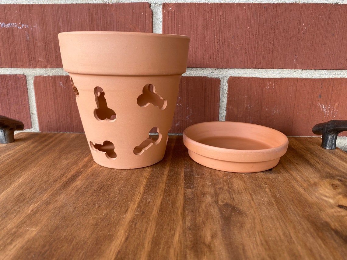 The Money Shot Orchid Pot 5 inch Terra Cotta Orchid Pot with Etsy